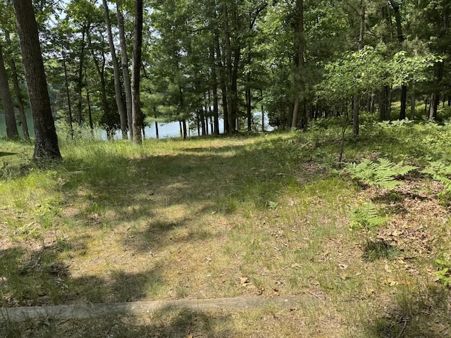 5859 N Utter Rd, Irons, MI 49644 - view of local wilderness with a nearby body of water
