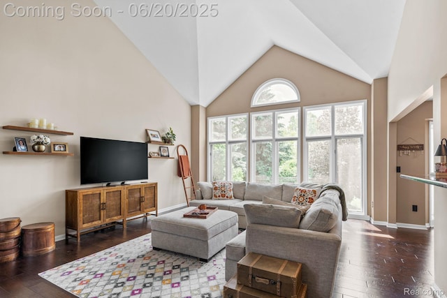 4096 Villager Dr, Lake Orion, MI 48359 - living area featuring dark wood-type flooring and high vaulted ceiling