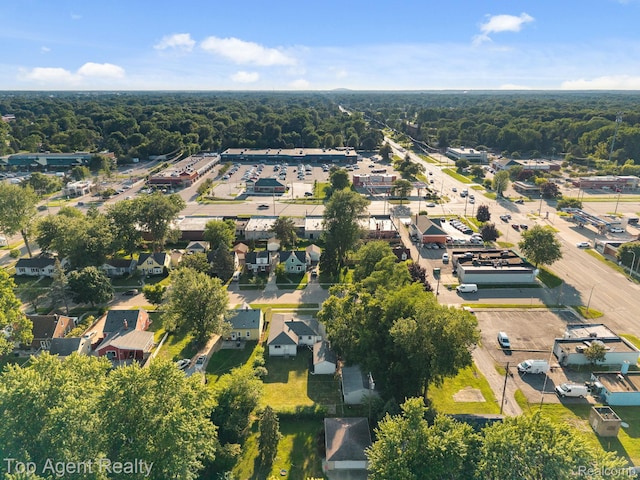 15174 Cavour St, Livonia, MI 48154 - photo 44