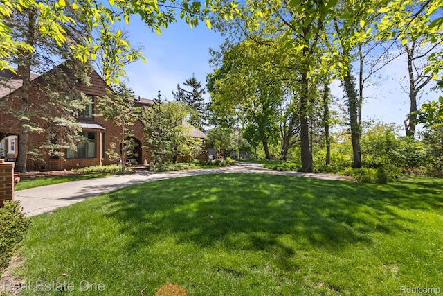 939 S Highland St, Dearborn, MI 48124 - photo 7