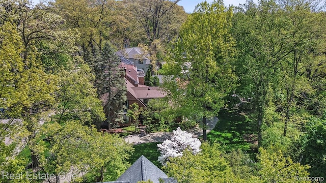 939 S Highland St, Dearborn, MI 48124 - photo 14