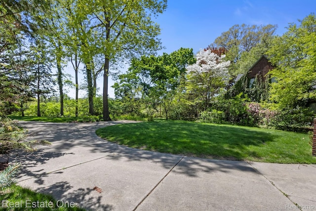939 S Highland St, Dearborn, MI 48124 - photo 6