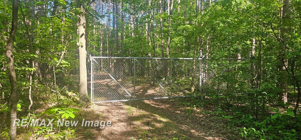 2351 S 10 Mile Rd, Breckenridge, MI 48615