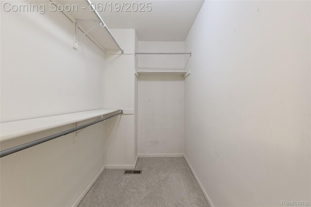 7382 Gateway Dr, West Bloomfield, MI 48322 - walk in closet featuring light carpet