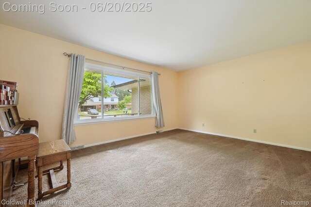 8077 Casa Mia Dr, White Lake, MI 48386 - unfurnished office with carpet