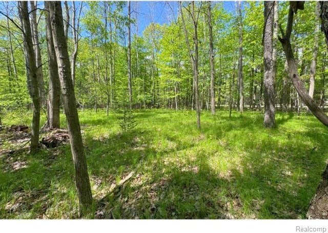 000 Birchwood Dr, Lake, MI 48632
