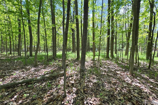 000 Birchwood Dr, Lake, MI 48632