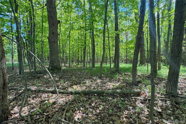 000 Birchwood Dr, Lake, MI 48632
