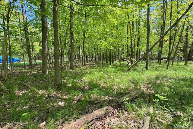 000 Birchwood Dr, Lake, MI 48632
