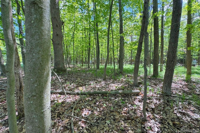 000 Birchwood Dr, Lake, MI 48632