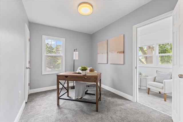 18419 Faust Ave, Detroit, MI 48219 - office space with carpet and baseboards