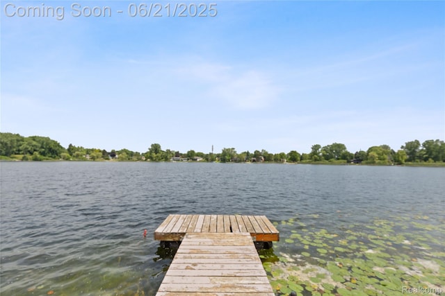 527 Tanview Dr, Oxford, MI 48371 - dock with a water view