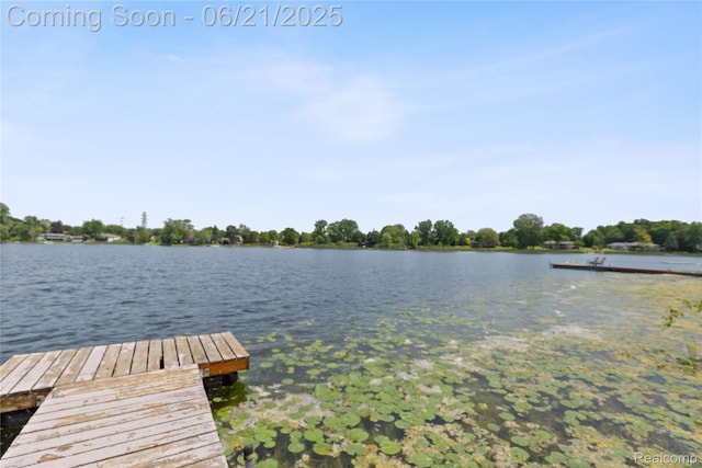 527 Tanview Dr, Oxford, MI 48371 - dock area featuring a water view