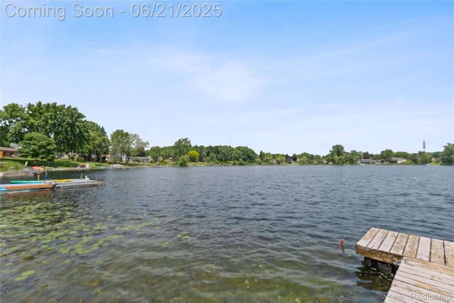 527 Tanview Dr, Oxford, MI 48371 - dock area with a water view