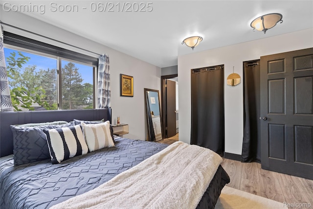 527 Tanview Dr, Oxford, MI 48371 - bedroom with light wood-style floors and multiple closets