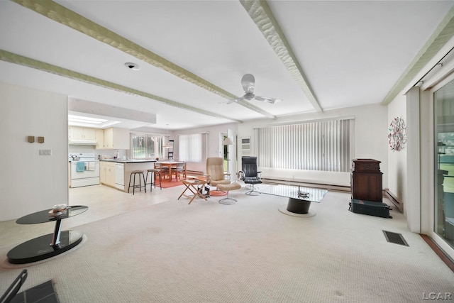 9760 Lime Lake Rd, Hudson, MI 49247 - living area with ceiling fan