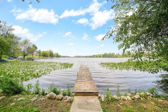 9760 Lime Lake Rd, Hudson, MI 49247 - dock featuring a water view
