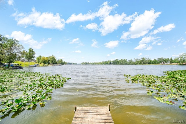 9760 Lime Lake Rd, Hudson, MI 49247 - dock area with a water view