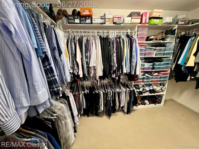 35606 Huntsman Ct, Farmington Hills, MI 48331 - walk in closet featuring carpet flooring
