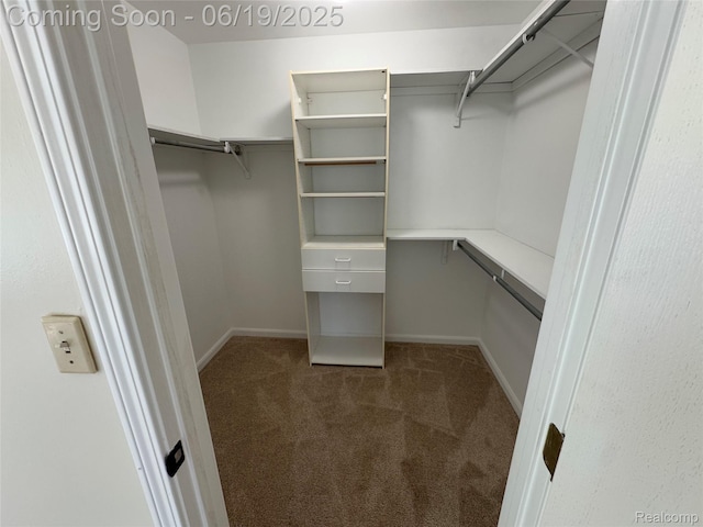 3163 Mystic Valley Dr, White Lake, MI 48383 - spacious closet featuring carpet flooring