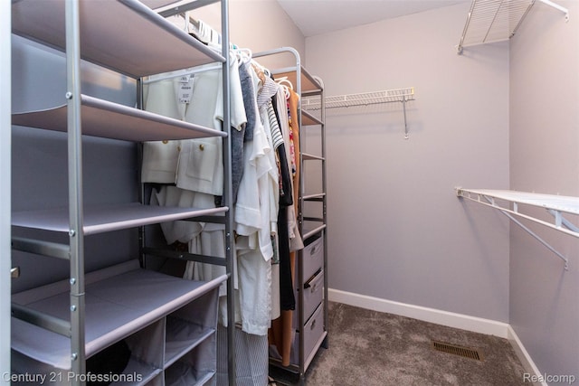 23640 Woodside Ct, South Lyon, MI 48178 - walk in closet with dark carpet