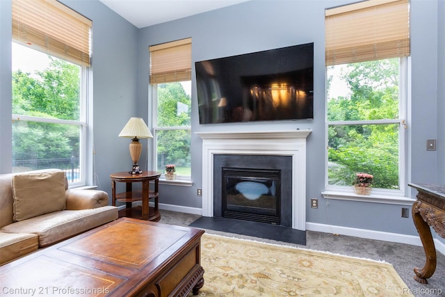 23640 Woodside Ct, South Lyon, MI 48178 - carpeted living room featuring baseboards and a fireplace with flush hearth