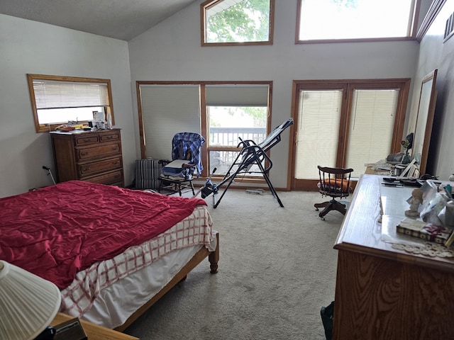 83140 Waldron Dr, Lawton, MI 49065 - bedroom with carpet and high vaulted ceiling