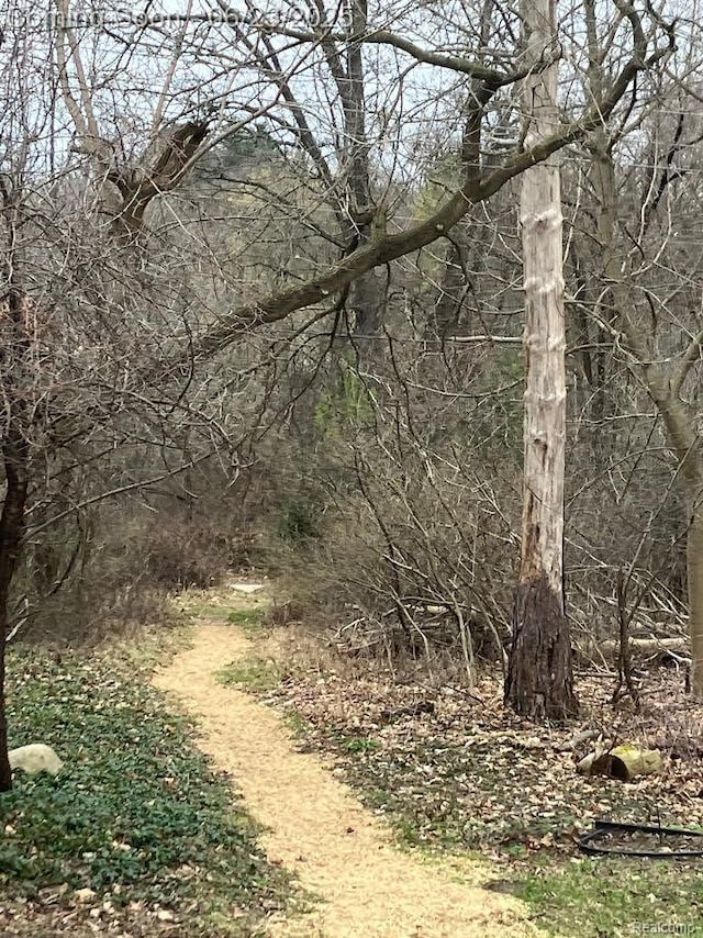 1437 Lantern Ln, Rochester Hills, MI 48306 - view of undeveloped land