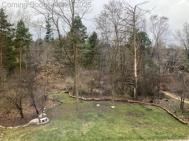 1437 Lantern Ln, Rochester Hills, MI 48306 - view of green lawn