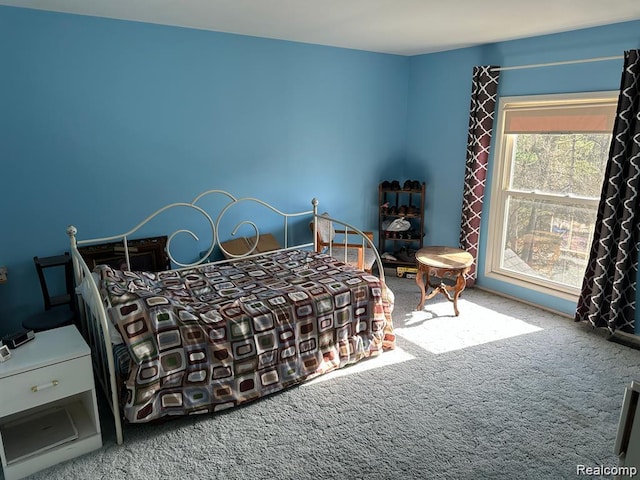 1437 Lantern Ln, Rochester Hills, MI 48306 - view of carpeted bedroom