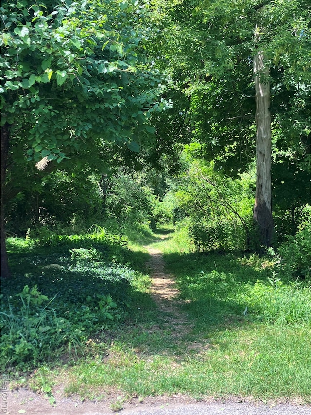 1437 Lantern Ln, Rochester Hills, MI 48306 - view of nature