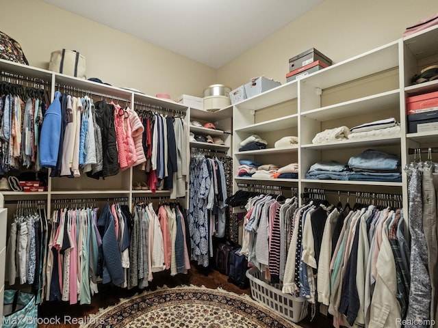 walk in closet featuring wood finished floors