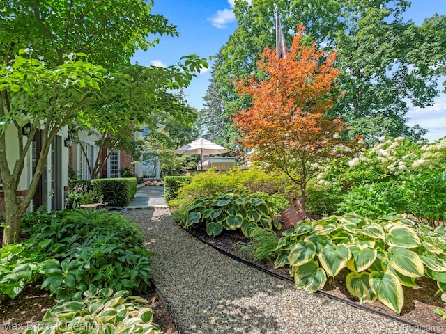 view of yard