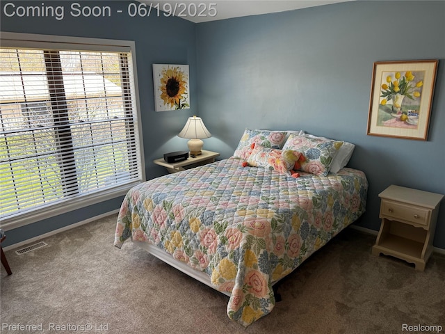 22208 Pondview, Novi, MI 48375 - bedroom featuring carpet and multiple windows