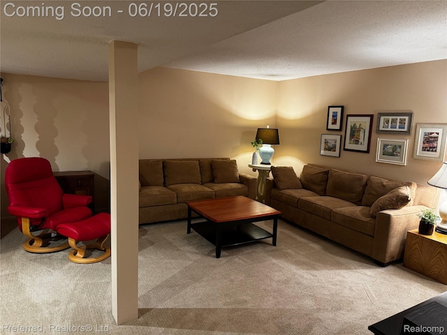 22208 Pondview, Novi, MI 48375 - living room with carpet floors and a textured ceiling