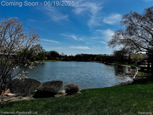 22208 Pondview, Novi, MI 48375 - water view