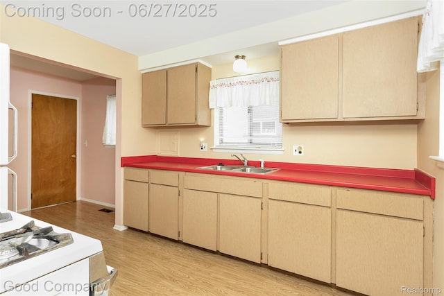 29035 Spoon Ave, Waterford, MI 48071 - kitchen featuring range and light wood-style floors