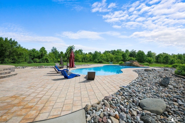 11694 Robinshire St, Temperance, MI 48182 - outdoor pool with a patio and view of scattered trees