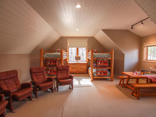 11610 Mountain Woods Dr, Thompsonville, MI 49683 - photo 21