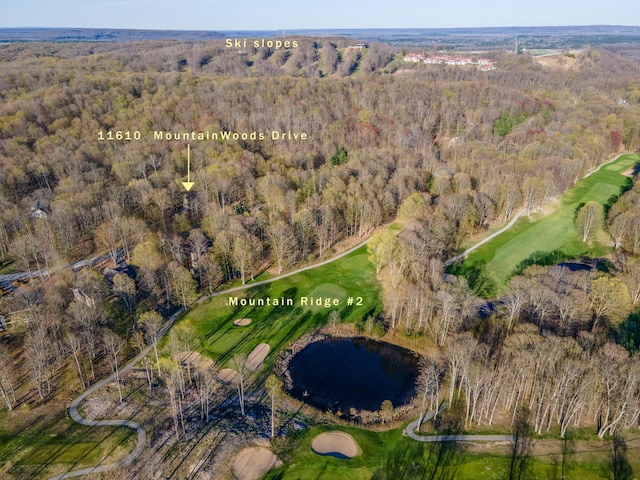 11610 Mountain Woods Dr, Thompsonville, MI 49683 - photo 25