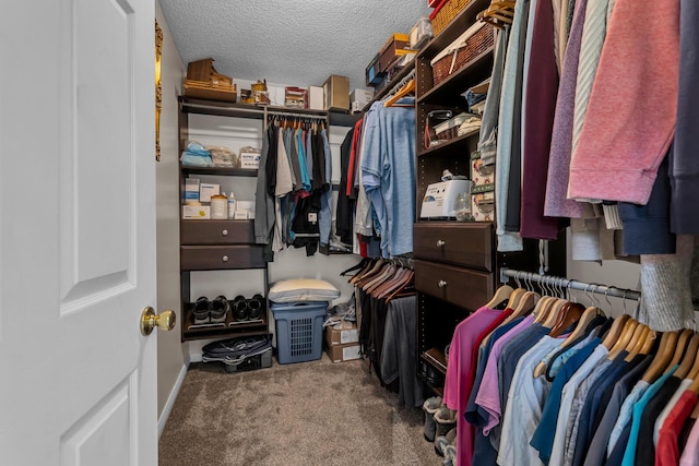 6824 Napoleon Rd, Jackson, MI 49201 - spacious closet featuring carpet flooring