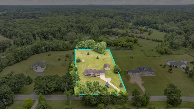 6824 Napoleon Rd, Jackson, MI 49201 - aerial view of sparsely populated area with a heavily wooded area and property parcel outlined