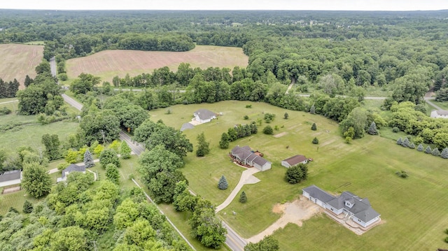 6824 Napoleon Rd, Jackson, MI 49201 - overview of rural landscape with a forest