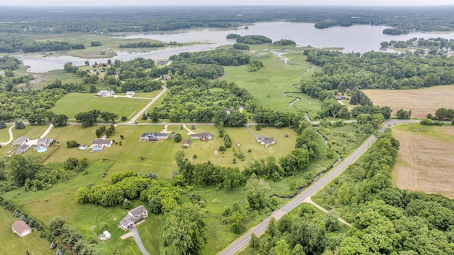 6824 Napoleon Rd, Jackson, MI 49201 - view of property location with a large body of water and rural landscape