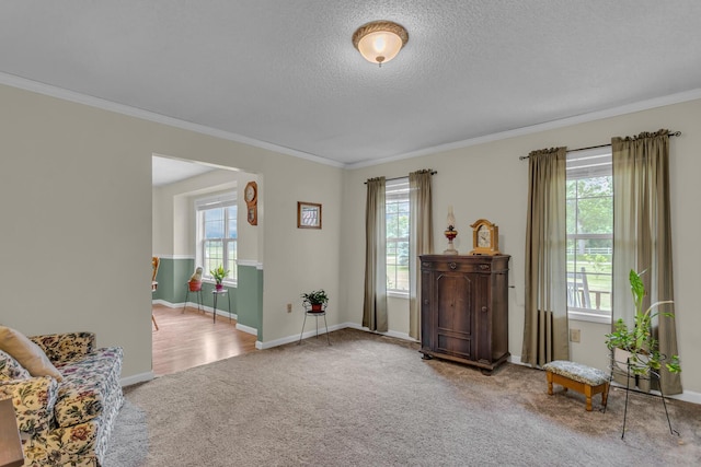 6824 Napoleon Rd, Jackson, MI 49201 - living area with carpet, ornamental molding, and a textured ceiling