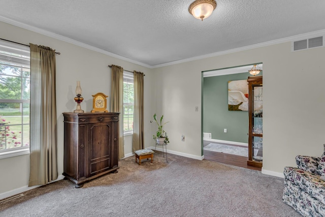 6824 Napoleon Rd, Jackson, MI 49201 - living area featuring ornamental molding, carpet, and a textured ceiling