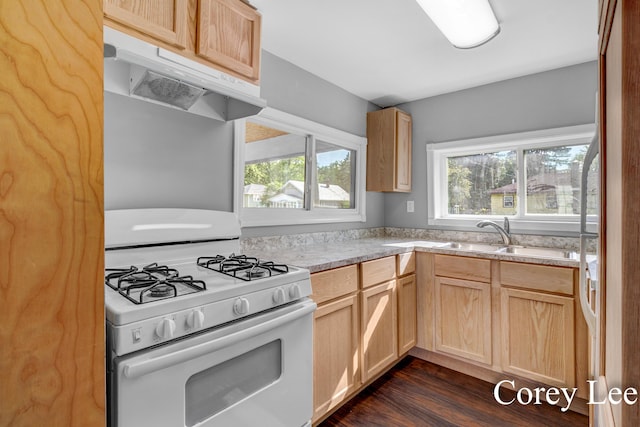 413 W Riverside Dr, Ionia, MI 48846 - kitchen featuring white gas range oven, under cabinet range hood, light brown cabinets, and dark wood-type flooring