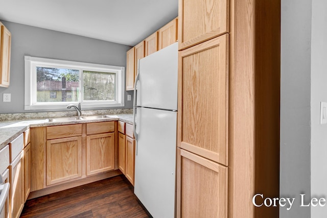 413 W Riverside Dr, Ionia, MI 48846 - kitchen with freestanding refrigerator, light brown cabinetry, dark wood-type flooring, and light countertops