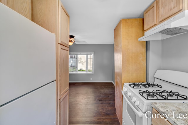 413 W Riverside Dr, Ionia, MI 48846 - kitchen with white appliances, under cabinet range hood, dark wood-style floors, light countertops, and ceiling fan