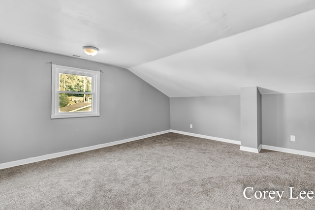 413 W Riverside Dr, Ionia, MI 48846 - additional living space with lofted ceiling and carpet floors